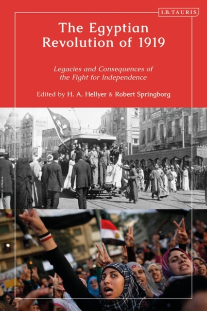 The Egyptian Revolution of 1919 : Legacies and Consequences of the Fight for Independence, Paperback / softback Book