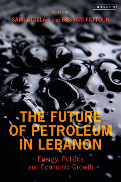 The Future of Petroleum in Lebanon : Energy, Politics and Economic Growth, Paperback / softback Book