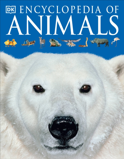 Encyclopedia of Animals, Paperback / softback Book