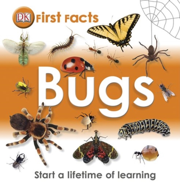FIRST FACTS BUGS, Hardback Book