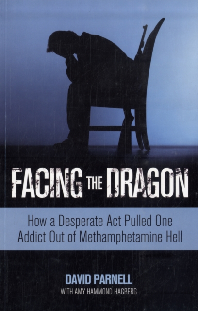 Facing the Dragon : How a Desperate Act Pulled One Addict Out of Methamphetamine Hell, Paperback Book