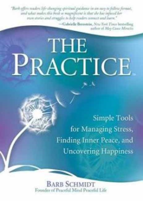 The Practice, Paperback / softback Book