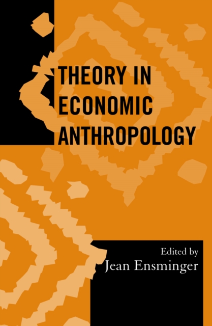 Theory in Economic Anthropology, Paperback / softback Book