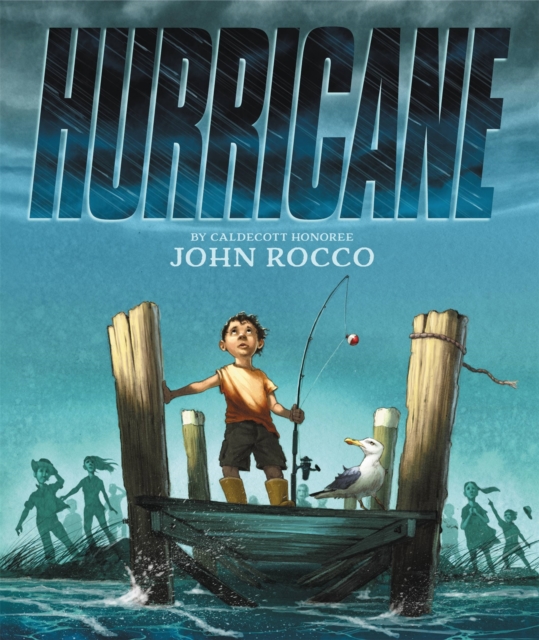 Hurricane, Hardback Book
