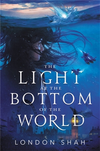 The Light at the Bottom of the World, Paperback / softback Book
