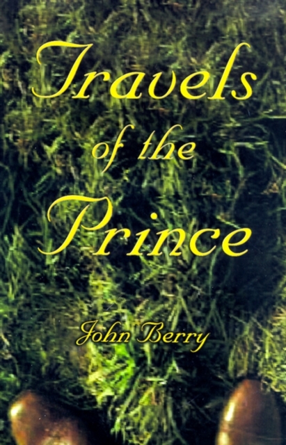 Travels of the Prince, Paperback / softback Book