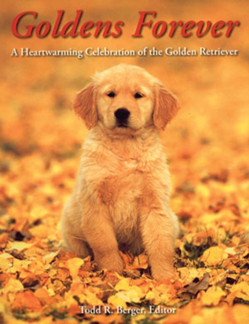 Goldens Forever : A Heartwarming Celebration of the Golden Retriever, Paperback / softback Book