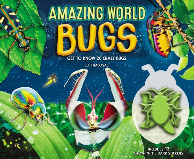 Amazing World: Bugs : Get To Know 20 Crazy Bugs, Hardback Book