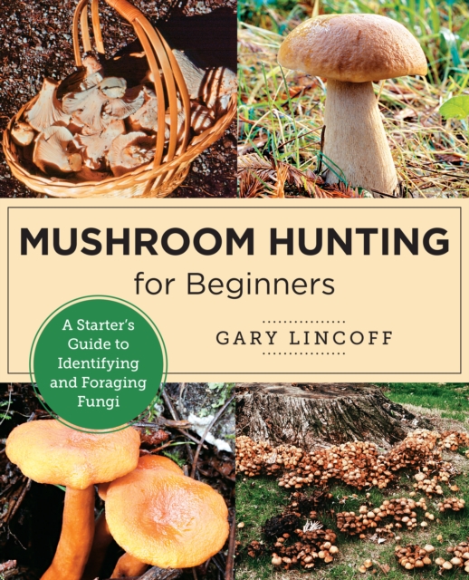 Mushroom Hunting for Beginners : A Starter's Guide to Identifying and Foraging Fungi, EPUB eBook