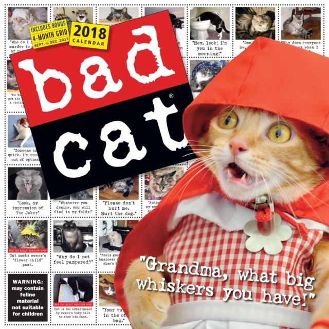 Bad Cat Wall Calendar 2018, Calendar Book
