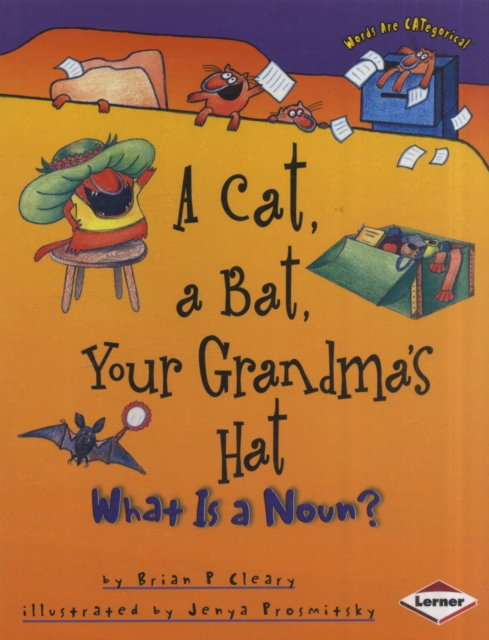 A Cat, a Bat, Your Grandma's Hat : What is a Noun?, Paperback / softback Book
