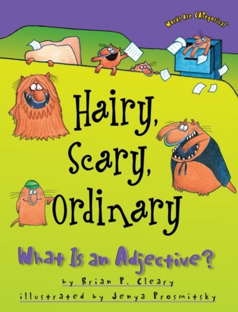 Hairy Scary Ordinary : What is an Adjective ?, Paperback / softback Book