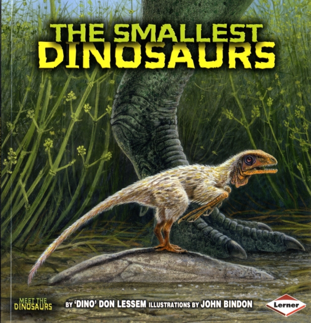 The Smallest Dinosaurs, Paperback Book