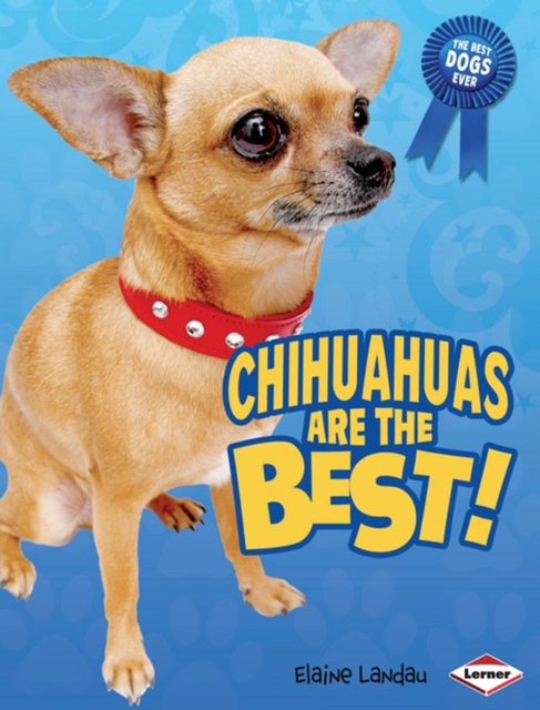 Chihuahuas Are the Best!, PDF eBook