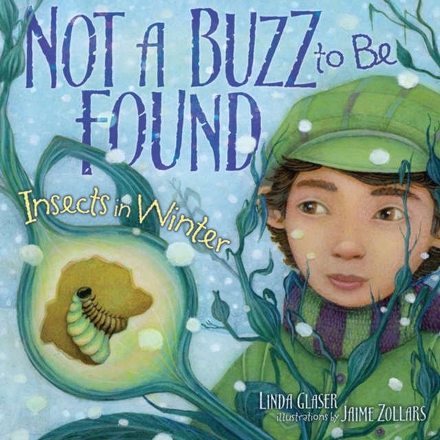 Not a Buzz to Be Found : Insects in Winter, PDF eBook