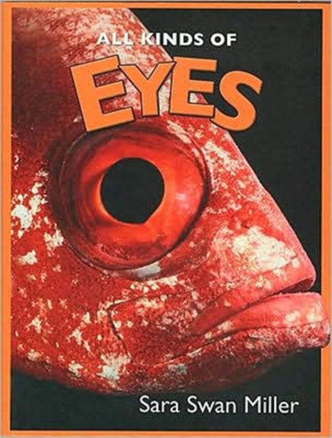 All Kinds of Eyes, Hardback Book