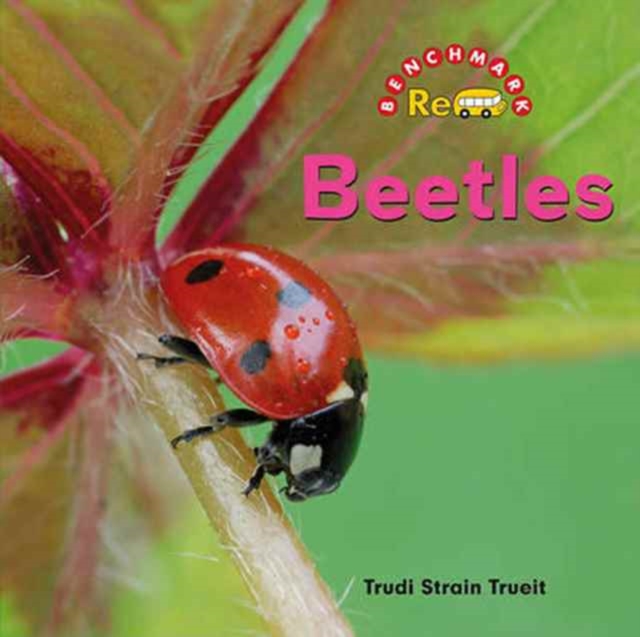 Beetles, Hardback Book