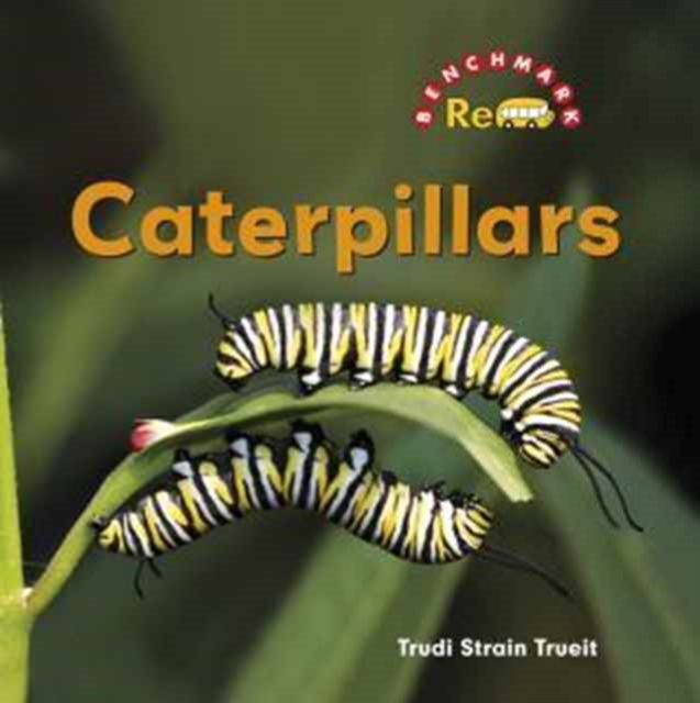 Caterpillars, Hardback Book
