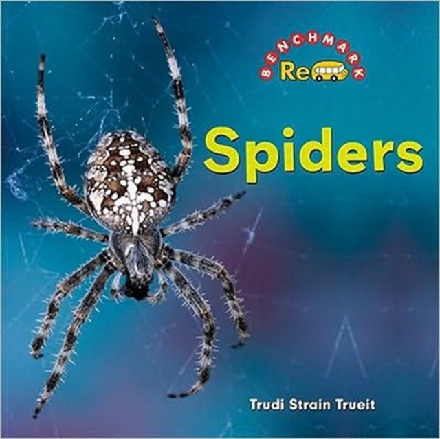 Spiders, Hardback Book