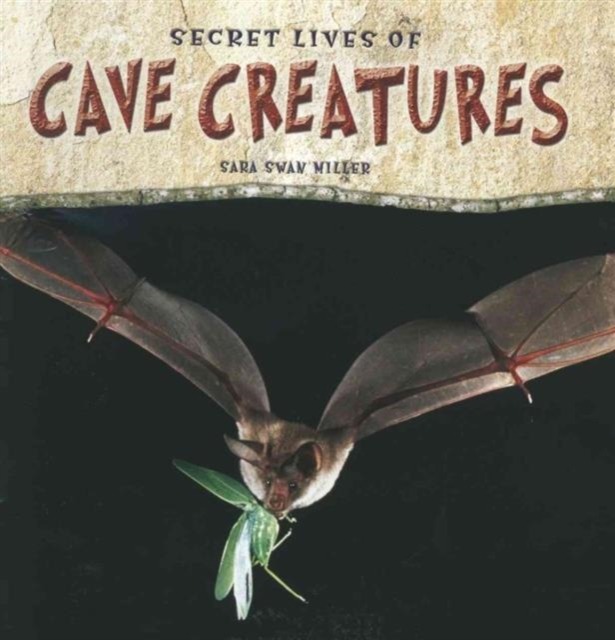 Secret Lives of Cave Creatures, Hardback Book