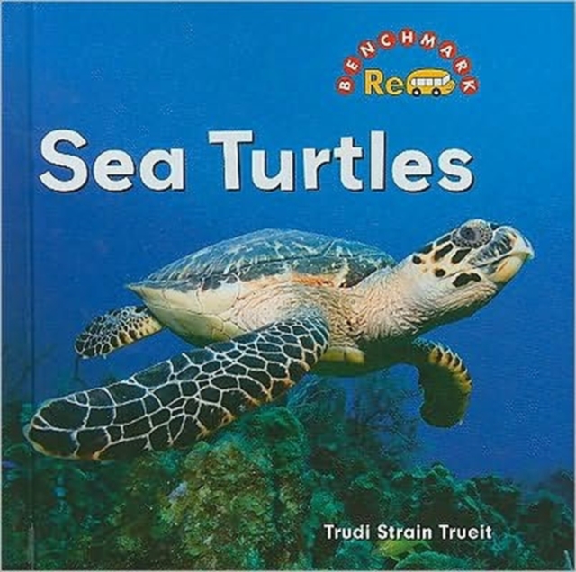 Sea Turtles, Hardback Book