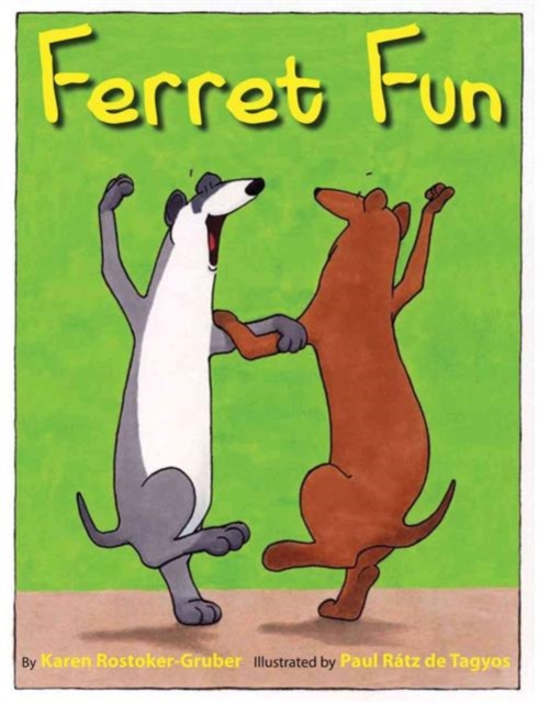 Ferret Fun, Hardback Book