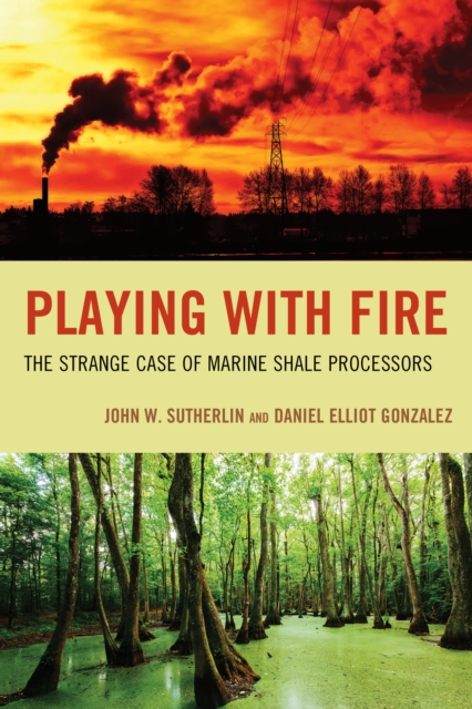 Playing with Fire : The Strange Case of Marine Shale Processors, Paperback / softback Book