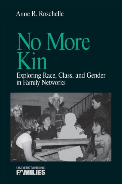 No More Kin : Exploring Race, Class, and Gender in Family Networks, Paperback / softback Book