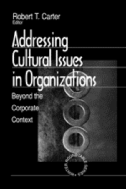Addressing Cultural Issues in Organizations : Beyond the Corporate Context, Paperback / softback Book