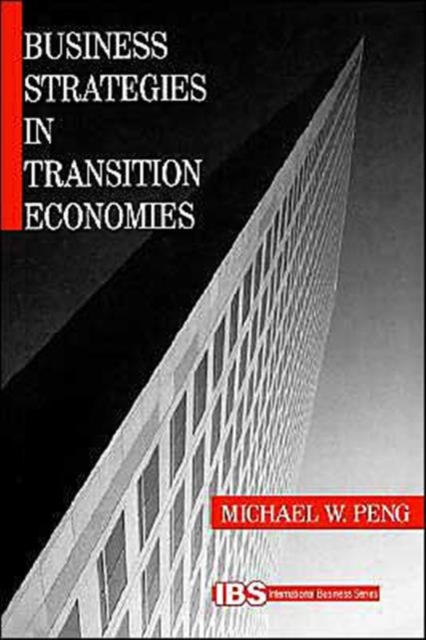Business Strategies in Transition Economies, Paperback / softback Book