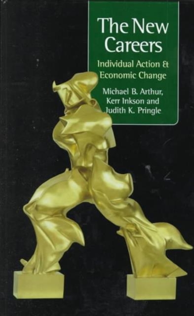 The New Careers : Individual Action and Economic Change, Hardback Book