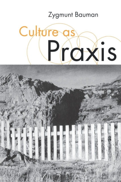 Culture as Praxis, Paperback / softback Book