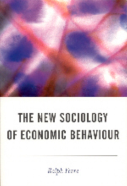 The New Sociology of Economic Behaviour, Hardback Book