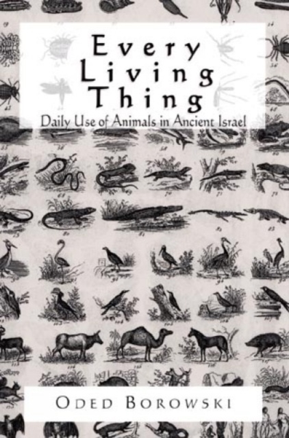 Every Living Thing : Daily Use of Animals in Ancient Israel, Paperback / softback Book
