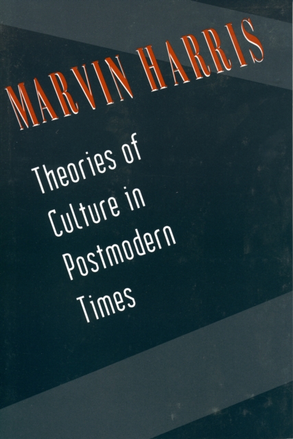 Theories of Culture in Postmodern Times, Paperback / softback Book