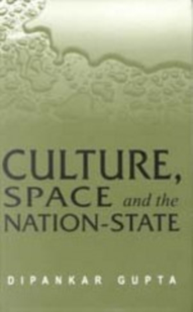 Culture, Space and the Nation-State : From Sentiment to Structure, Hardback Book