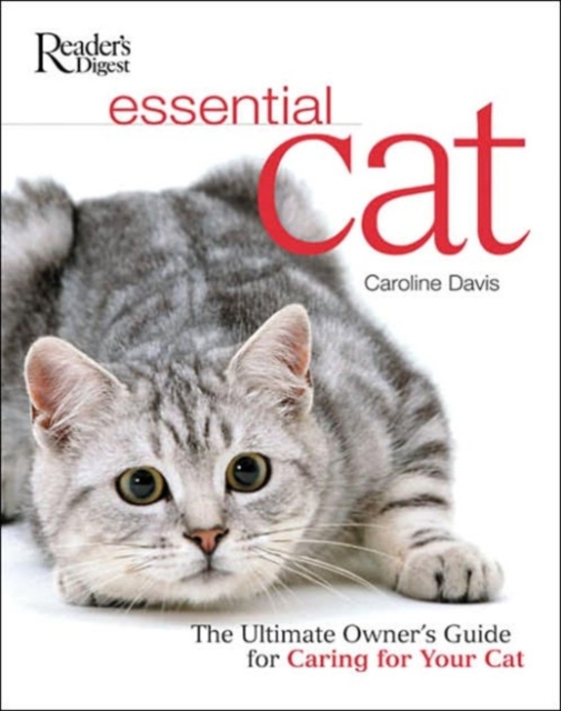 Essential Cat, Paperback Book