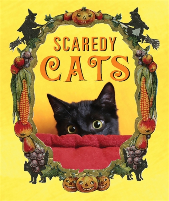 Scaredy Cats, Hardback Book