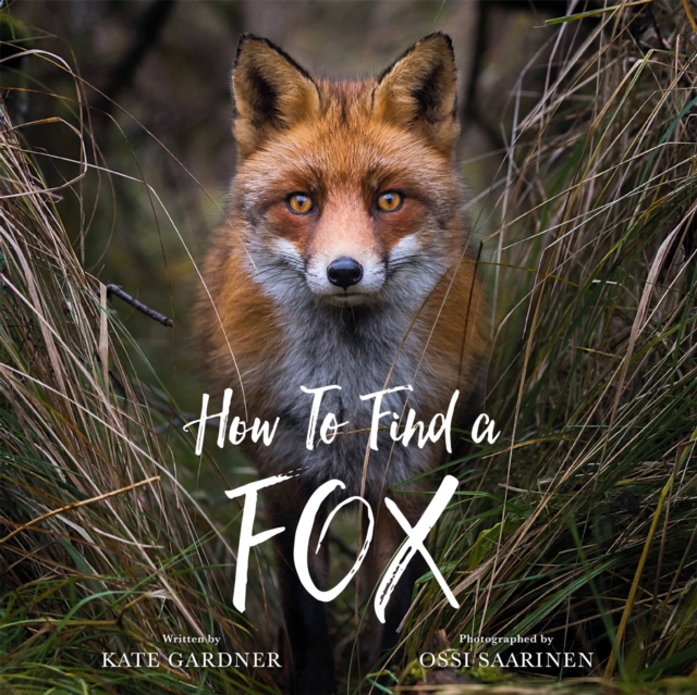 How to Find a Fox, Hardback Book