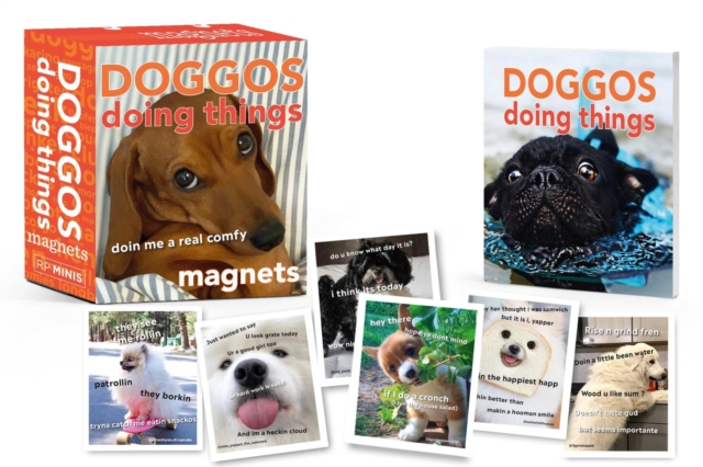 Doggos Doing Things Magnets, Multiple-component retail product Book