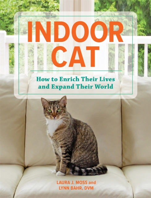 Indoor Cat : How to Enrich their Lives and Expand their World, Hardback Book