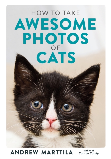 How to Take Awesome Photos of Cats, Hardback Book