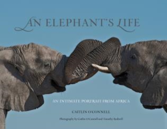 Elephant's Life : An Intimate Portrait from Africa, Hardback Book