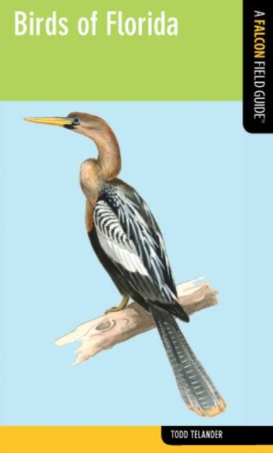 Birds of Florida, Paperback / softback Book