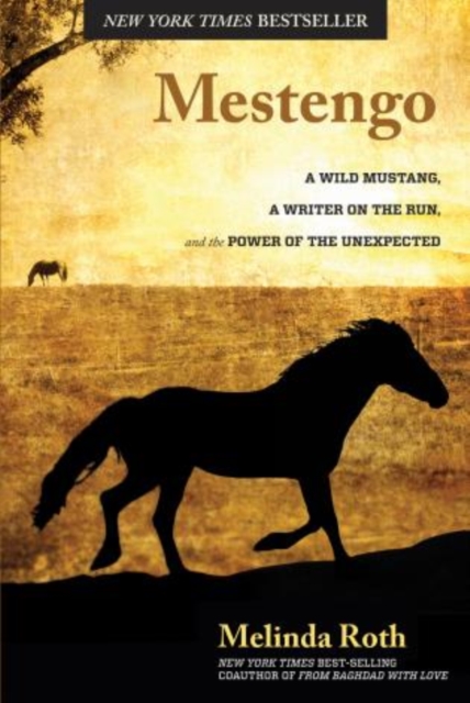 Mestengo : A Wild Mustang, a Writer on the Run, and the Power of the Unexpected, Hardback Book