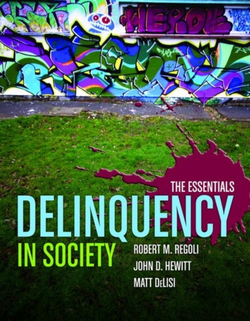 Delinquency In Society: The Essentials, Paperback / softback Book
