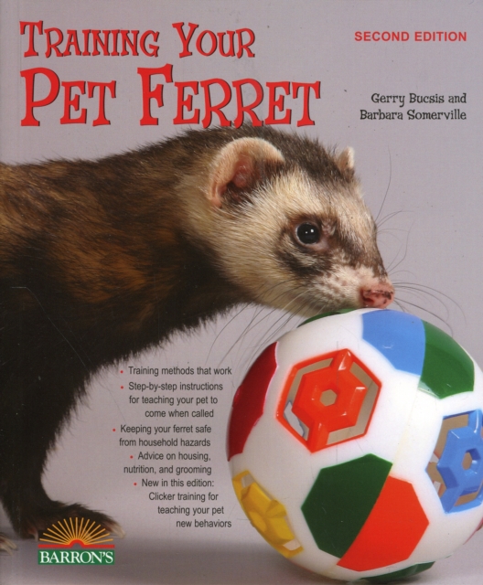 Training Your Pet Ferret, Paperback / softback Book