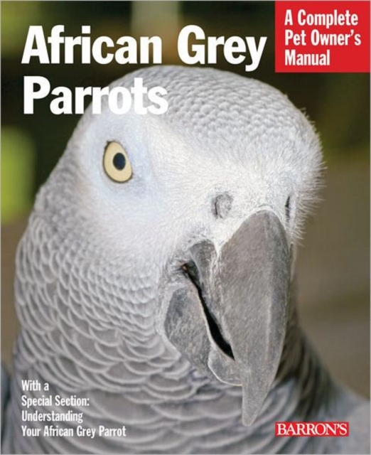 African Grey Parrots, Paperback / softback Book