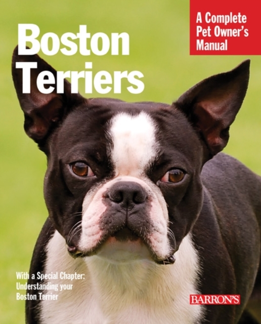 Boston Terriers, Paperback / softback Book