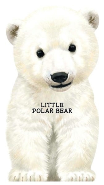 Little Polar Bear, Board book Book